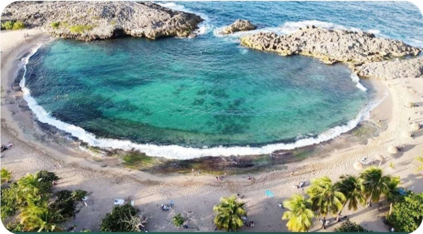 Casa Palmera Vega Baja Exteriér fotografie