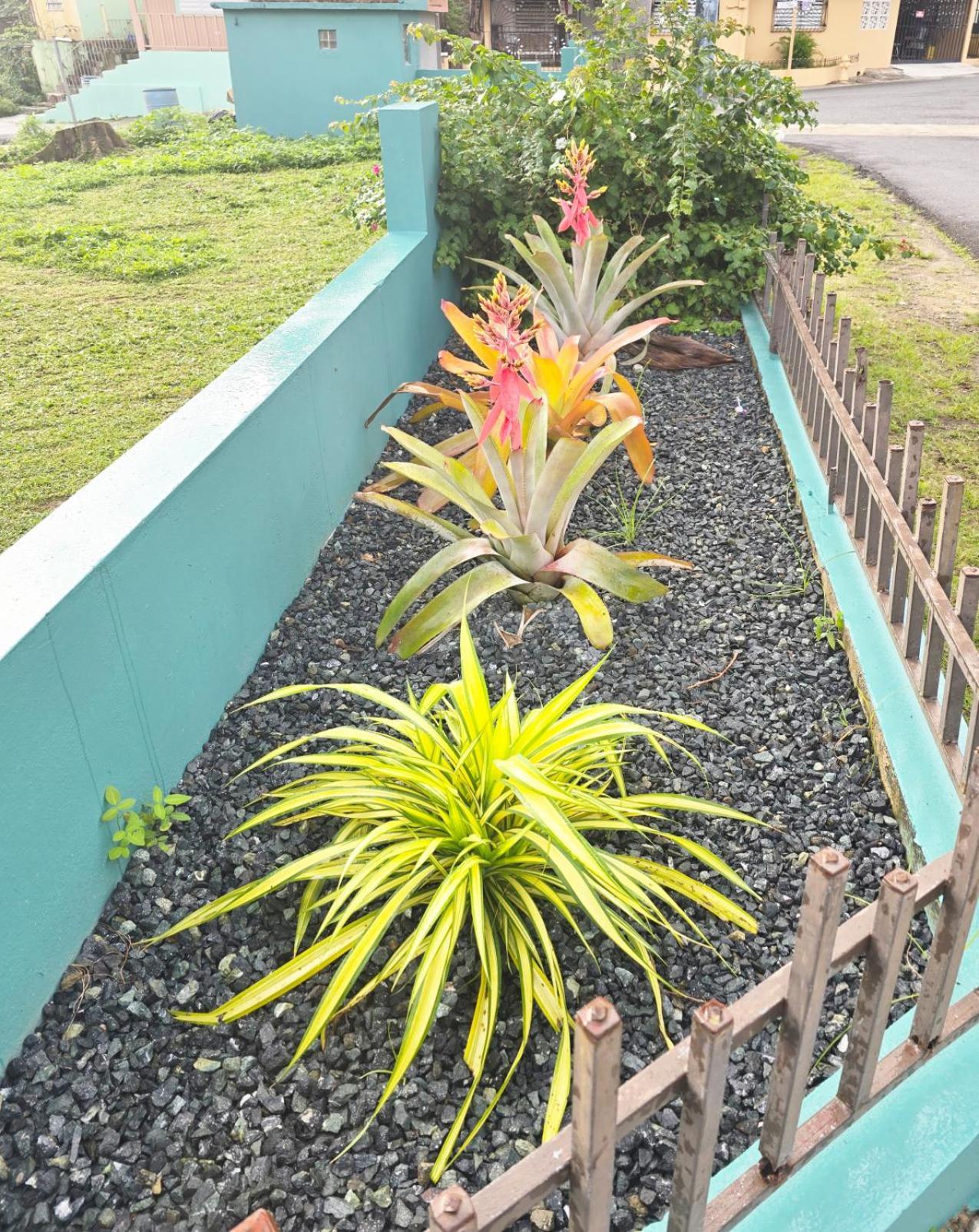 Casa Palmera Vega Baja Exteriér fotografie